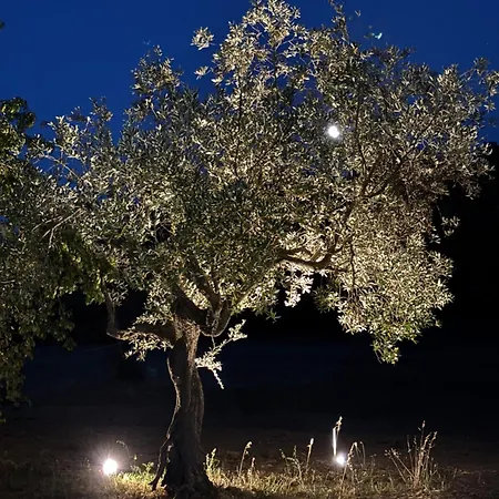 Podere Poderino *